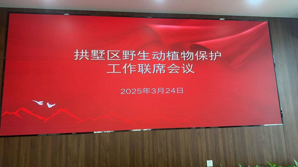 圖片11.png